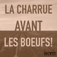 La charrue avant les boeufs ! cover