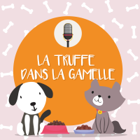 La Truffe dans la Gamelle cover