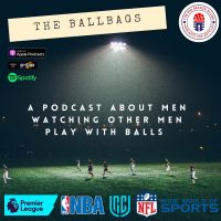 The BallBags cover