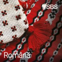SBS Romanian - SBS in limba romana cover
