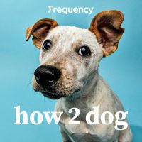 How 2 Dog cover