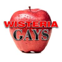 Wisteria Gays | A Desperate Housewives Podcast cover