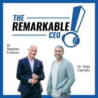 The Remarkable CEO for Chiropractors cover