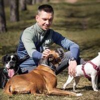 Hunde besser verstehen cover