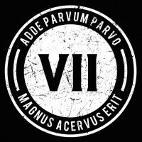 VII Radio cover