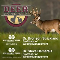 Deer University cover
