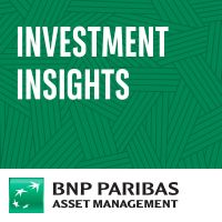 Investment Insights cover