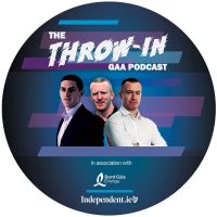The Throw-In cover