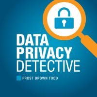 Data Privacy Detective cover