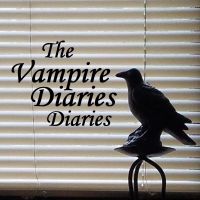 The Vampire Diaries Diaries cover