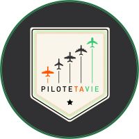 "PILOTE TA VIE" - Développer la meilleure version de toi-même grâce à la PNL! cover