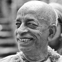 Prabhupada Podcast cover