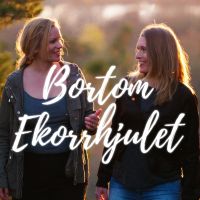 Bortom ekorrhjulet cover