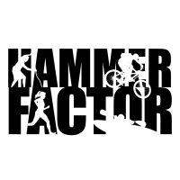 Hammer Factor cover