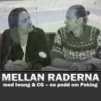 Mellan raderna - Iwung&CG cover