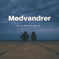 Medvandrer cover