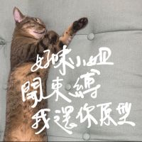 好味小姐開束縛我還你原形 cover