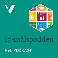 17-målspodden cover