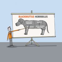 Expert Insights – Black Dog Institute Podcasts cover