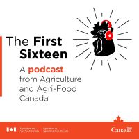 The First Sixteen cover