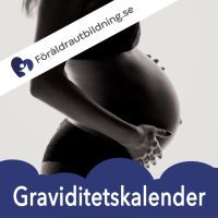 Föräldrautbildning - för dig som är gravid eller nybliven förälder cover