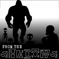 From The Shadows cover