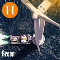 Handelsblatt Green cover
