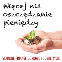 WNOP: Więcej niż oszczędzanie pieniędzy: Finanse osobiste | Zarabianie | Inwestowanie | Przedsiębiorczość cover