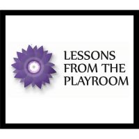 Lessons from the Playroom cover