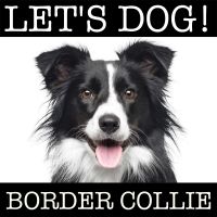 Let's Dog - Bordercollie Podcast cover