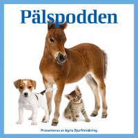 Pälspodden cover