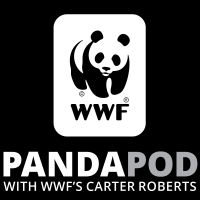 The Panda Pod cover