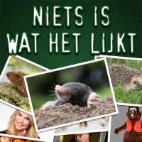 Niets Is Wat Het Lijkt cover