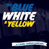 The Blue White and Yellow cover