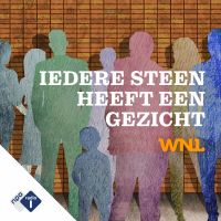 Iedere Steen heeft een Gezicht cover