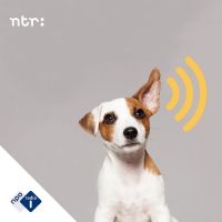 NTR Podcastprijs cover