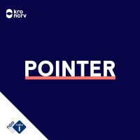 Pointer cover