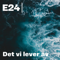 Det vi lever av cover