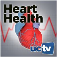 Cardiology (Audio) cover