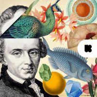 Kant en klaar cover