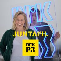 Juntafil cover