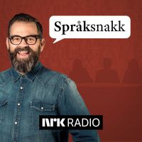 Språksnakk cover