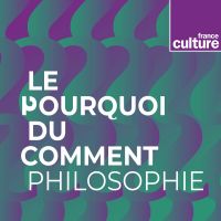 Le Pourquoi du Comment : philo cover
