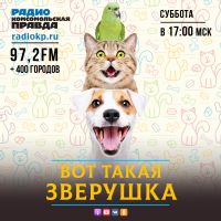 Вот такая зверушка cover