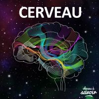 Choses à Savoir CERVEAU cover