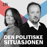 Den politiske situasjonen cover