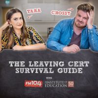 The Leaving Cert Survival Guide cover