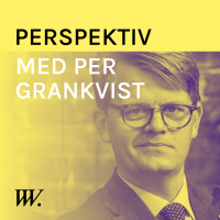 Perspektiv - med Per Grankvist cover