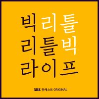 빅 리틀 라이프 cover