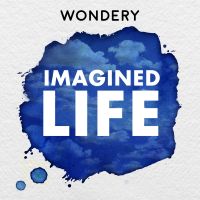 Imagined Life cover